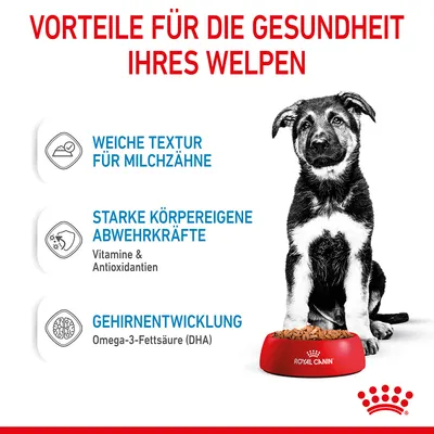 Vorteile für die Gesundheit Ihres Welpen: Weiche Textur für Milchzähne, starke körpereigene Abwehrkräfte mit Vitaminen & Antioxidantien, Gehirnentwicklung mit Omega-3-Fettsäure (DHA).