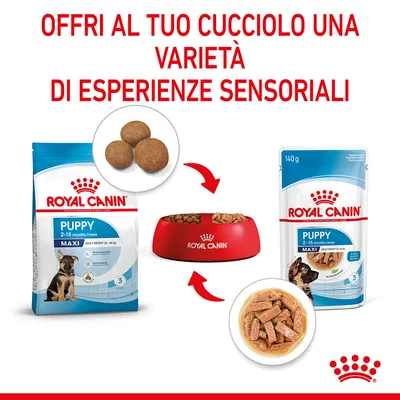 ROYAL CANIN Puppy Maxi 2–15 mesi: confezione di crocchette, confezione da 140 g di umido e ciotola rossa con cibo. Testo: Offri al tuo cucciolo una varietà di esperienze sensoriali.