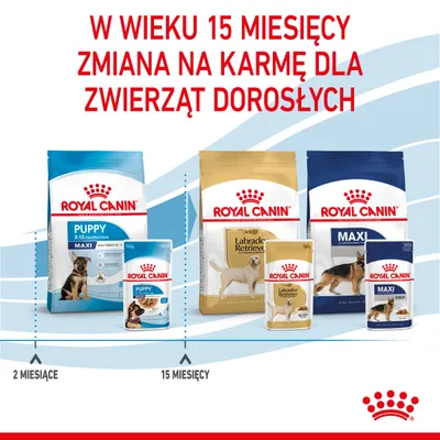 Royal Canin: zmiana karmy z Puppy na Adult w wieku 15 miesięcy. Widoczne opakowania Puppy Maxi, Labrador Retriever Adult i Maxi Adult oraz oznaczenia 2 miesiące i 15 miesięcy.