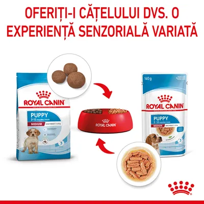Royal Canin Puppy Medium 2–12 luni: imagine cu hrană uscată și umedă, bol roșu Royal Canin, pachet 140 g și sac mare, text vizibil: 'Oferiți-i cățelului dvs. o experiență senzorială variată'.