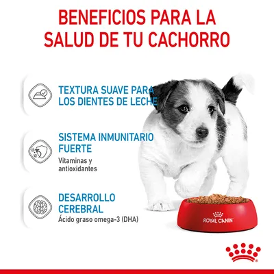 Beneficios para la salud de tu cachorro: textura suave para los dientes de leche, sistema inmunitario fuerte con vitaminas y antioxidantes, desarrollo cerebral con DHA. Royal Canin.