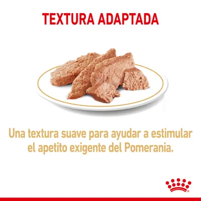 TEXURA ADAPTADA. Una textura suave para ayudar a estimular el apetito exigente del Pomerania. Imagen de comida húmeda en un plato blanco. Marca Royal Canin visible.