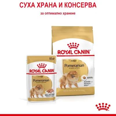 ROYAL CANIN ADULT Pomeranian суха храна и пауч 85 г за кучета, изображение на померан, текст: СУХА ХРАНА И КОНСЕРВА за оптимално хранене