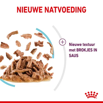 NIEUWE NATVOEDING. Nieuwe textuur met BROKJES IN SAUS. Afbeelding van natvoerbrokjes in saus, Royal Canin merk zichtbaar.