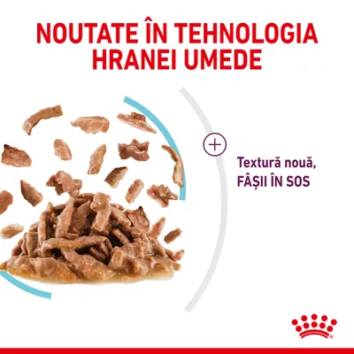 NOUTATE ÎN TEHNOLOGIA HRANEI UMEDE. Textură nouă, FÂȘII ÎN SOS. Imagine cu fâșii de hrană umedă în sos și logo Royal Canin.