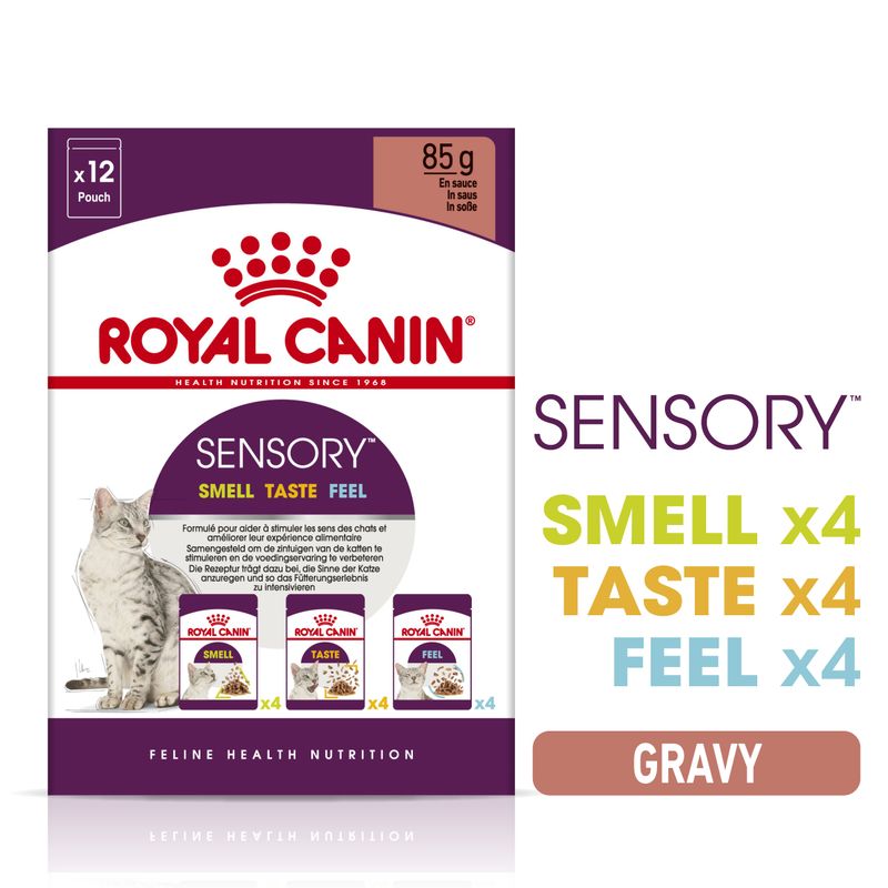 ROYAL CANIN SENSORY SMELL x4, TASTE x4, FEEL x4 GRAVY. Συσκευασία 12x85g φακελάκια σε σάλτσα για γάτες. Εμφανίζεται γάτα και τρεις τύποι φακέλων στη συσκευασία.