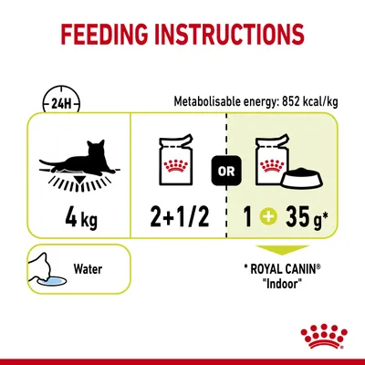 Royal Canin Sensory Smell in Gravy