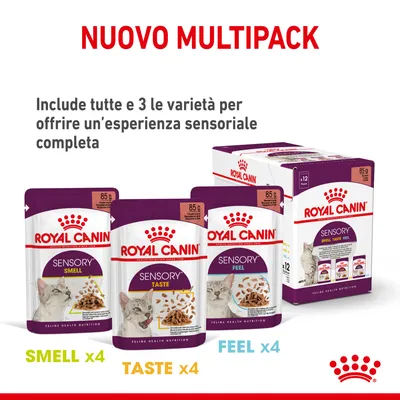 Royal Canin Sensory multipack per gatti, 12 buste da 85 g: 4 Smell, 4 Taste, 4 Feel. Include tutte e 3 le varietà per offrire un’esperienza sensoriale completa.