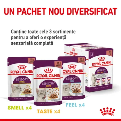 Pachet Royal Canin Sensory pentru pisici, 12 plicuri a 85 g: 4 Smell, 4 Taste, 4 Feel. Conține toate cele 3 sortimente pentru o experiență senzorială completă.