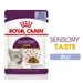 Royal Canin Sensory Taste in Jelly