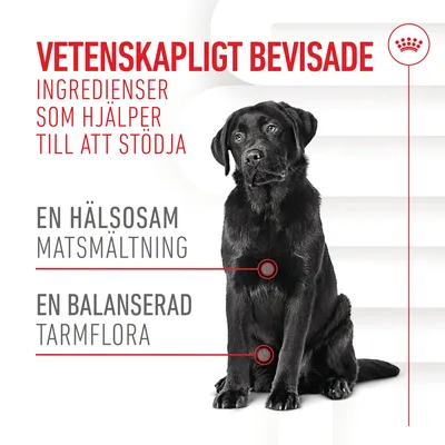 Vetenskapligt bevisade ingredienser som hjälper till att stödja en hälsosam matsmältning och en balanserad tarmflora. Bild på svart hund.