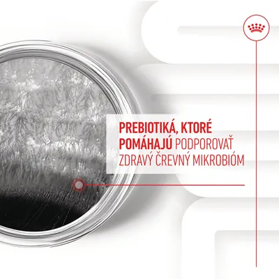 PREBIOTIKÁ, KTORÉ POMÁHAJÚ PODPOROVAŤ ZDRAVÝ ČREVNÝ MIKROBIÓM