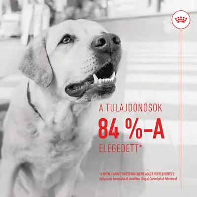 A tulajdonosok 84%-a elégedett* *A Royal Canin Digestion Chews Adult Supplements 2 hétig tartó használatát követően (Royal Canin belső felmérés)