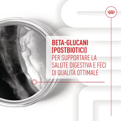 BETA-GLUCANI (POSTBIOTICI) per supportare la salute digestiva e feci di qualità ottimale, testo visibile su immagine con dettaglio circolare in bianco e nero.