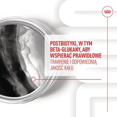 Postbiotyki, w tym beta-glukany, aby wspierać prawidłowe trawienie i odpowiednią jakość kału