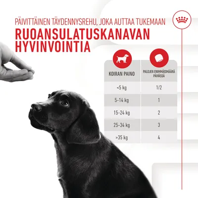Ruokintaohje koiran painon mukaan: alle 5 kg 1/2 palaa, 5–14 kg 1 pala, 15–24 kg 2 palaa, 25–34 kg 3 palaa, yli 35 kg 4 palaa päivässä. Ruoansulatuskanavan hyvinvointi.