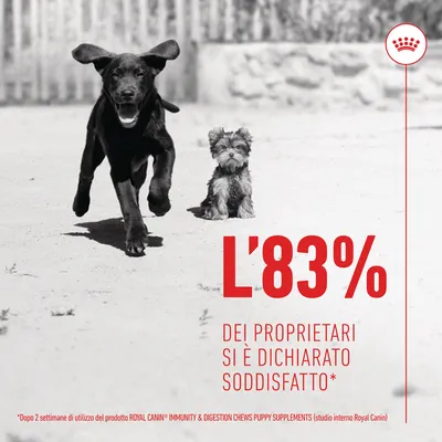 L'83% dei proprietari si è dichiarato soddisfatto* Dopo 2 settimane di utilizzo del prodotto ROYAL CANIN IMMUNITY & DIGESTION CHEWS PUPPY SUPPLEMENTS (studio interno Royal Canin)