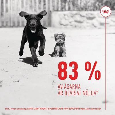 83 % av ägarna är bevisat nöjda*. Efter 2 veckors användning av ROYAL CANIN IMMUNITY & DIGESTION CHEWS PUPPY SUPPLEMENTS (Royal Canin intern studie)