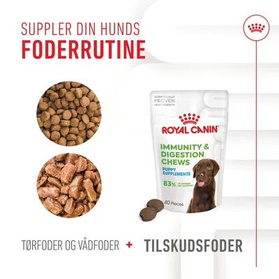 Royal Canin Immunity & Digestion Chews Puppy Supplements 40 stk, billede af tørfoder, vådfoder og tilskudsfoder. Tekst: Suppler din hunds foderrutine, tørfoder og vådfoder + tilskudsfoder.