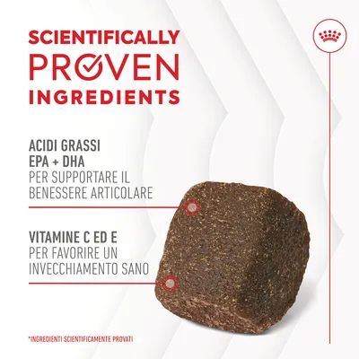 Testo: Scientifically proven ingredients. Acidi grassi EPA + DHA per supportare il benessere articolare. Vitamine C ed E per favorire un invecchiamento sano. *Ingredienti scientificamente provati.