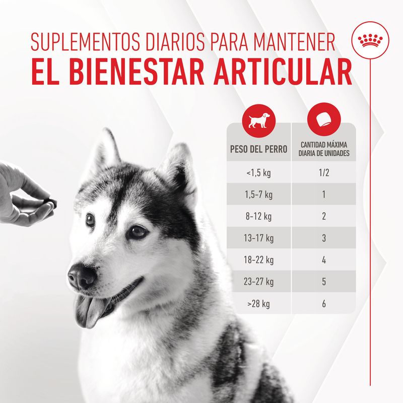 Royal Canin Joint & Ageing Adult suplemento masticable