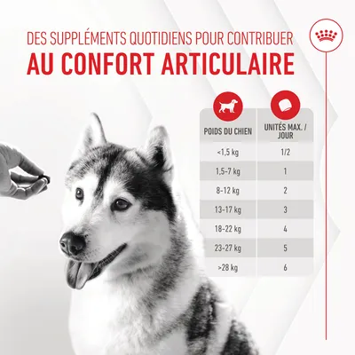 Tableau de dosage : poids du chien et unités max./jour, de <1,5 kg 1/2 unité à >28 kg 6 unités. Texte : suppléments quotidiens pour contribuer au confort articulaire.