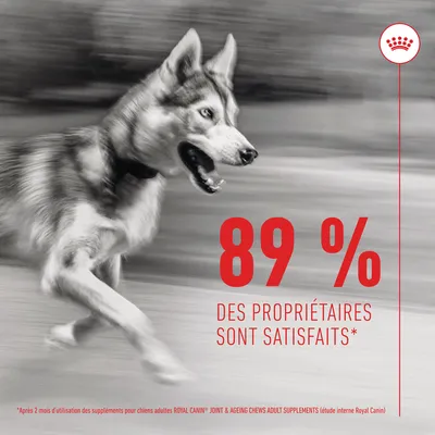 89 % des propriétaires sont satisfaits* Après 2 mois d’utilisation des suppléments pour chiens adultes Royal Canin Joint & Ageing Chews Adult Supplements (étude interne Royal Canin)