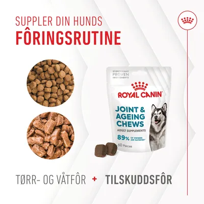 Royal Canin Joint & Ageing Adult Chews - kosttilskudd