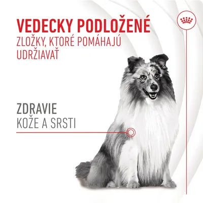 Vedecky podložené zložky, ktoré pomáhajú udržiavať zdravie kože a srsti. Obrázok psa s textom zvýrazňujúcim benefity pre kožu a srsť.
