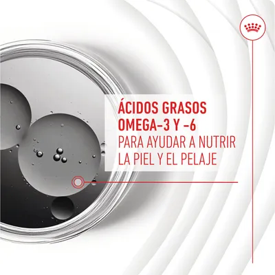 Ácidos grasos omega-3 y -6 para ayudar a nutrir la piel y el pelaje. Ácidos grasos omega-3 y -6 para ayudar a nutrir la piel y el pelaje.