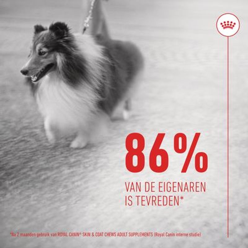 Royal Canin Skin & Coat Adult Kauwsnacks