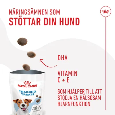 Royal Canin Training Treats Tasty Chews. Näringsämnen som stöttar din hund: DHA, vitamin C + E. Som hjälper till att stödja en hälsosam hjärnfunktion.