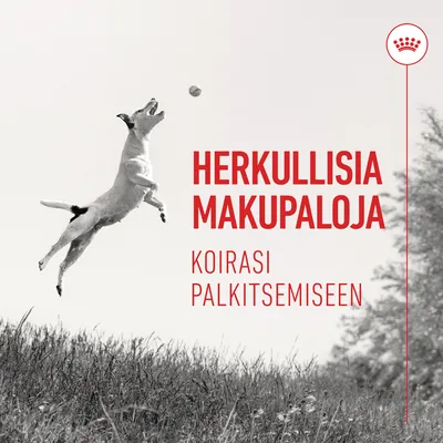 Herkullisia makupaloja. Koirasi palkitsemiseen.