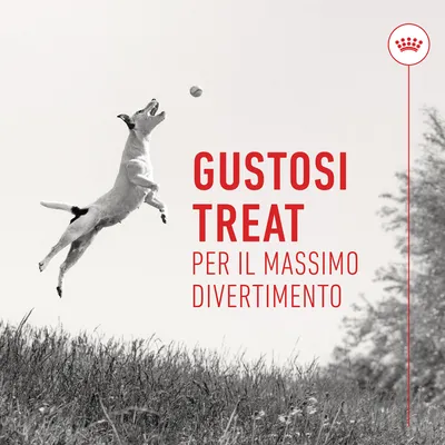 Testo: Gustosi treat per il massimo divertimento
