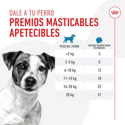 Tabla de premios masticables para perros: <2 kg 3 unidades, 2–5 kg 5, 6–10 kg 12, 11–15 kg 18, 16–20 kg 22, 20 kg 31. Título: Dale a tu perro premios masticables apetecibles.