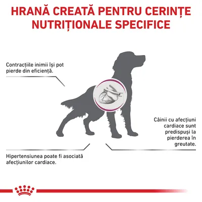 Hrană creată pentru cerințe nutriționale specifice. Contracțiile inimii își pot pierde din eficiență. Hipertensiunea poate fi asociată afecțiunilor cardiace. Câinii cu afecțiuni cardiace sunt predispuși la pierderea în greutate.
