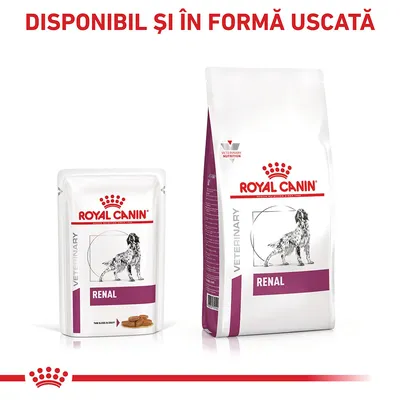 Pachet și sac Royal Canin Veterinary Renal pentru câini. Text vizibil: „DISPONIBIL ȘI ÎN FORMĂ USCATĂ”, „ROYAL CANIN VETERINARY RENAL”. Imagine cu un câine pe ambalaj.