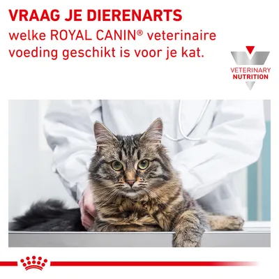 Vraag je dierenarts welke ROYAL CANIN veterinaire voeding geschikt is voor je kat. VETERINARY NUTRITION. Kat bij dierenarts op onderzoekstafel.