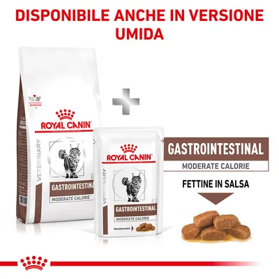 Royal Canin Gastrointestinal Moderate Calorie per gatti, disponibile anche in versione umida. Immagine di crocchette e fettine in salsa. Testo visibile: FETTINE IN SALSA.