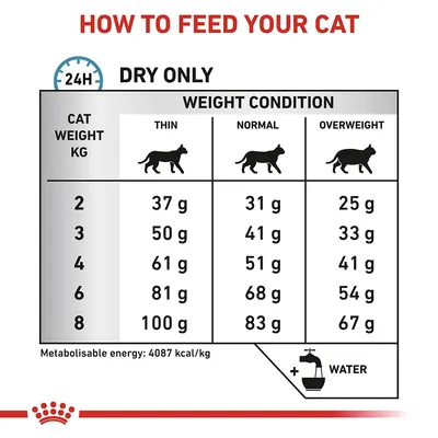 Utfodringstabell för katt: torrfoder per dag efter vikt (2–8 kg) och hull (mager, normal, överviktig), mängd i gram. Metaboliserbar energi: 4087 kcal/kg. Vatten rekommenderas.