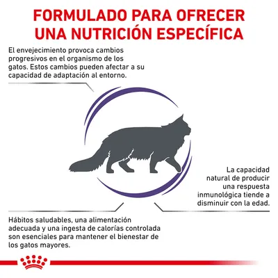 Formulado para ofrecer una nutrición específica. Información sobre envejecimiento en gatos, importancia de hábitos saludables y alimentación adecuada para su bienestar.