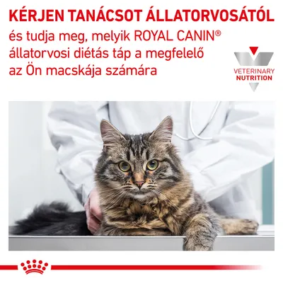 KÉRJEN TANÁCSOT ÁLLATORVOSÁTÓL és tudja meg, melyik ROYAL CANIN állatorvosi diétás táp a megfelelő az Ön macskája számára. VETERINARY NUTRITION