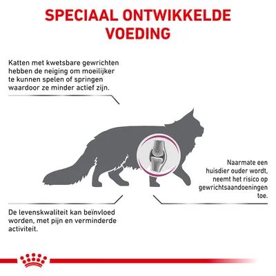 Speciaal ontwikkelde voeding. Katten met kwetsbare gewrichten zijn minder actief. Levenskwaliteit kan dalen door pijn. Oudere huisdieren hebben meer risico op gewrichtsaandoeningen.