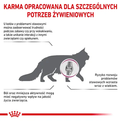 Karma opracowana dla szczególnych potrzeb żywieniowych. Informacje o problemach stawowych u kotów, objawach i wpływie na jakość życia. Ryzyko wzrasta z wiekiem.