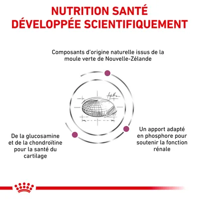NUTRITION SANTÉ DÉVELOPPÉE SCIENTIFIQUEMENT. Composants d’origine naturelle issus de la moule verte de Nouvelle-Zélande, glucosamine et chondroïtine, apport en phosphore adapté.