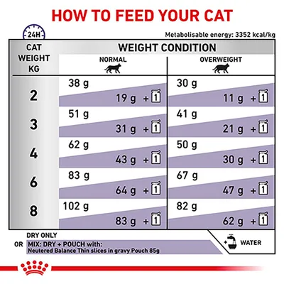 Feeding guide showing daily dry food amounts in grams for different cat weights and weight conditions, with options for mixing dry food and pouches. Water should always be provided.