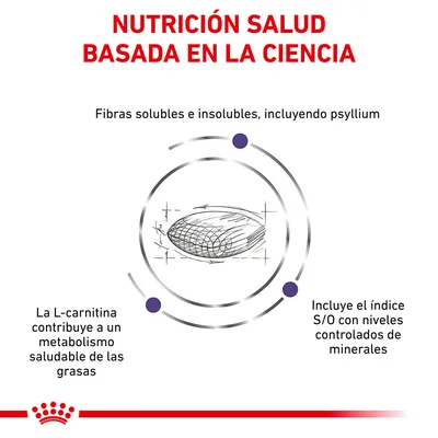 Nutrición salud basada en la ciencia. Fibras solubles e insolubles, incluyendo psyllium. L-carnitina contribuye a metabolismo saludable de las grasas. Índice S/O con minerales controlados.