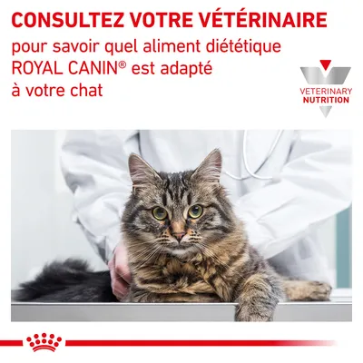 Consultez votre vétérinaire pour savoir quel aliment diététique ROYAL CANIN est adapté à votre chat. VETERINARY NUTRITION.