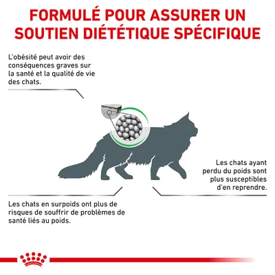 FORMULÉ POUR ASSURER UN SOUTIEN DIÉTÉTIQUE SPÉCIFIQUE. L’obésité peut avoir des conséquences graves sur la santé et la qualité de vie des chats. Les chats en surpoids ont plus de risques de souffrir de problèmes de santé liés au poids. Les chats ayant perdu du poids sont plus susceptibles d’en reprendre.