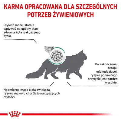Karma opracowana dla szczególnych potrzeb żywieniowych. Otyłość wpływa na zdrowie kota, zwiększa ryzyko chorób i ponownego przytycia po terapii odchudzającej. Karma opracowana dla szczególnych potrzeb żywieniowych. Otyłość wpływa na zdrowie kota, zwiększa ryzyko chorób i ponownego przytycia po terapii odchudzającej.